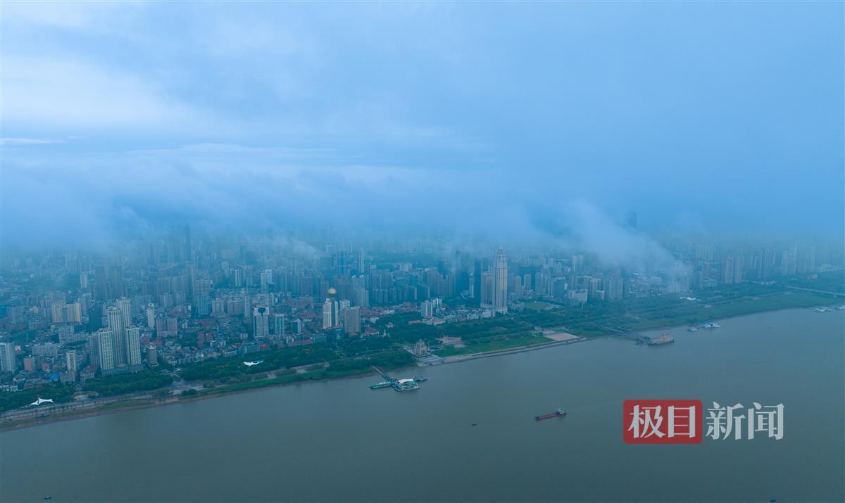 金冠官网的网址